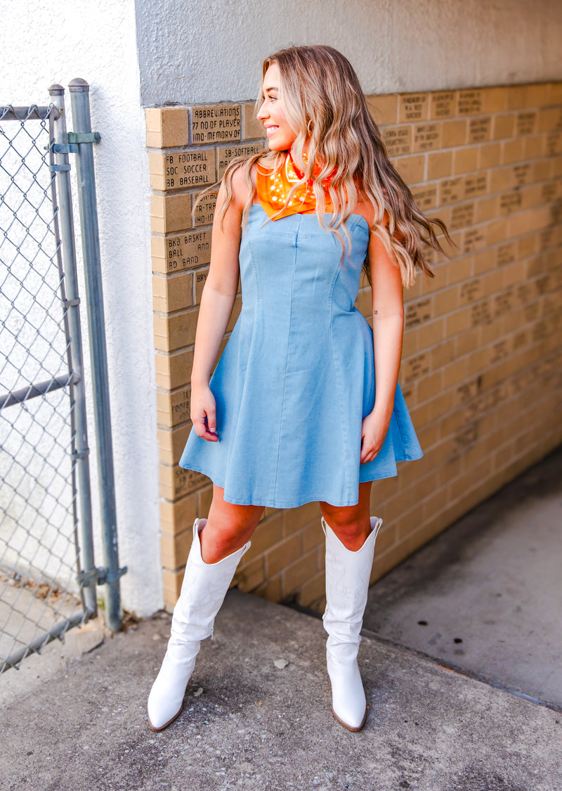 Jolene Denim Mini Dress