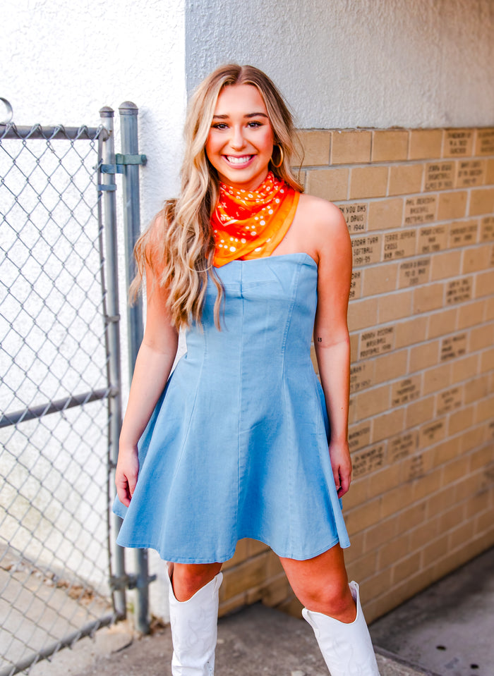 Jolene Denim Mini Dress